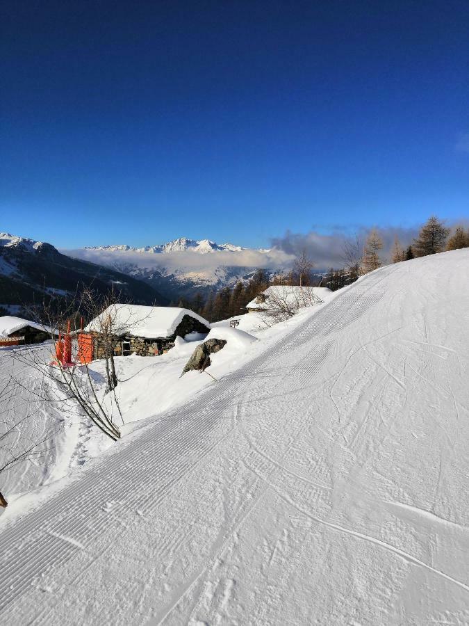 Apartment Le Refuge Des Marmottes Sainte-Foy-Tarentaise